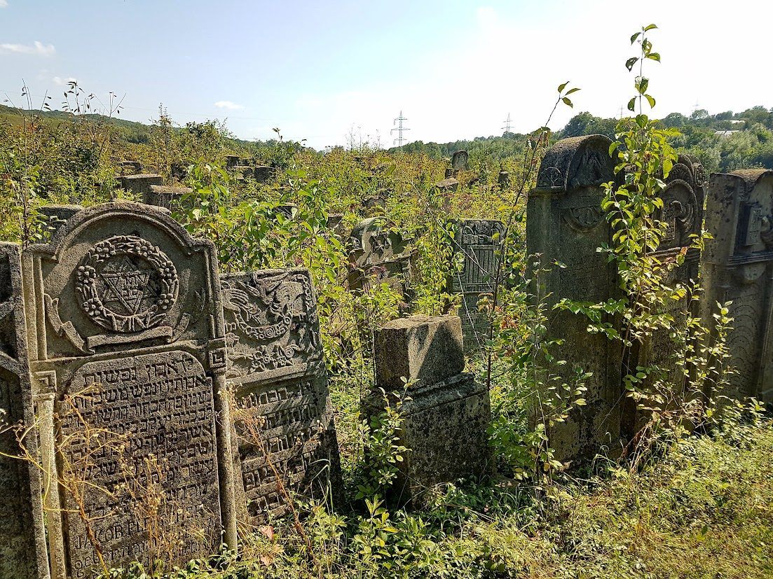 Carved gravestones at Siret in summer: a Star of David inside a floral wreath on one stone, a bird in relief on the next, above dense Hebrew epitaphs, with greenery growing between the stones