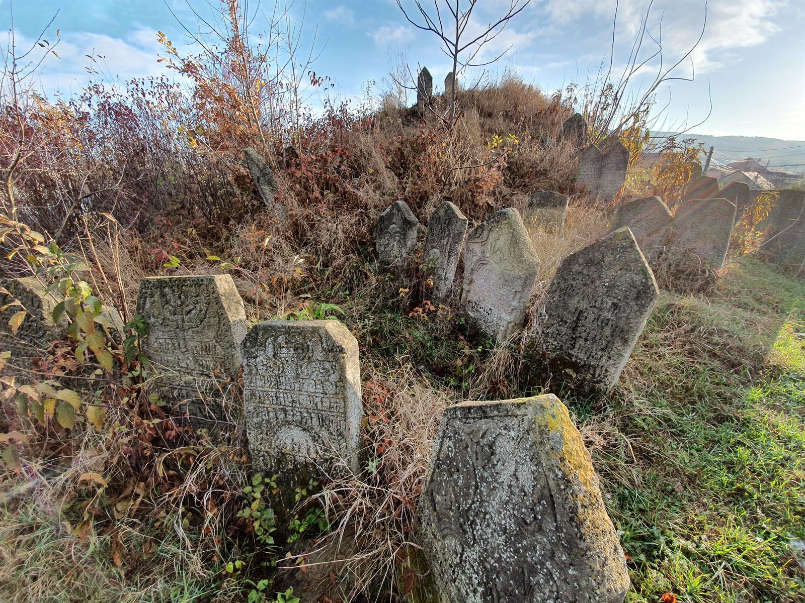A cluster of old, lichen-covered gravestones leaning at angles among dry grass and bare shrubs in the oldest part of the Siret cemetery