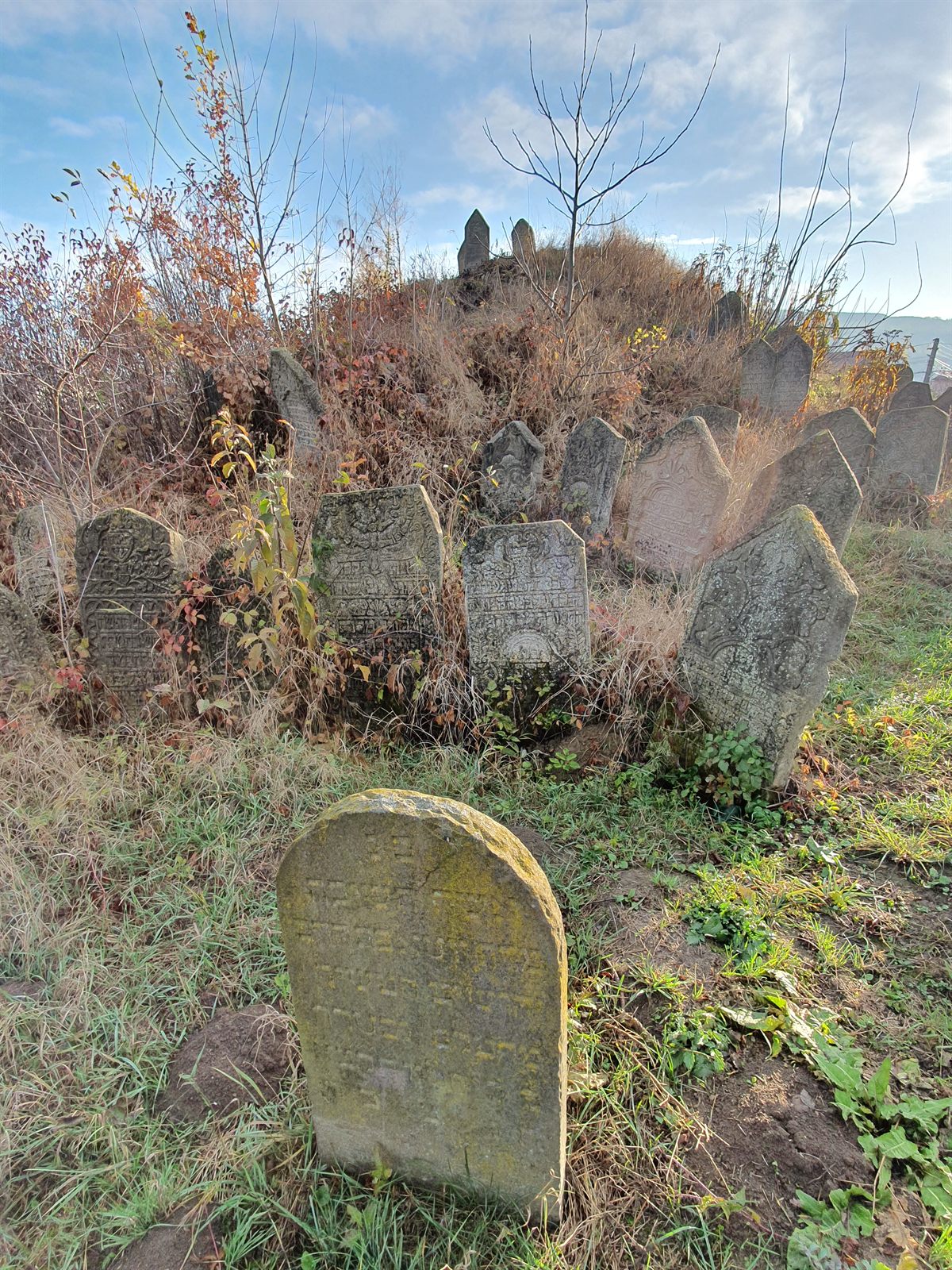 A moss-covered gravestone in the foreground and a hillock of older stones behind it, half hidden by dry autumn scrub and bare saplings at the Siret cemetery