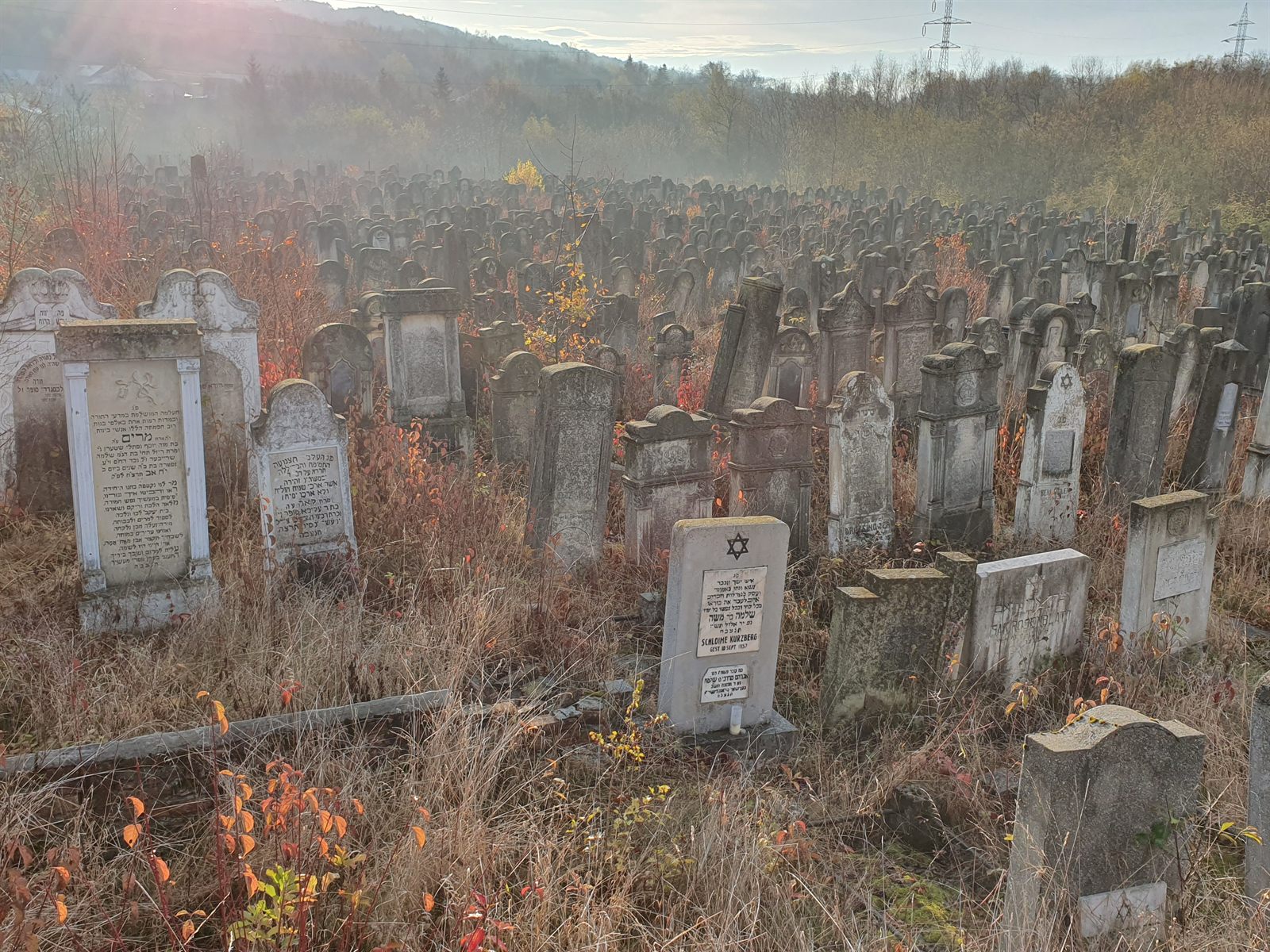 Rows of weathered gravestones stretching across a hillside in autumn morning mist at the Jewish cemetery of Siret, with wooded hills behind